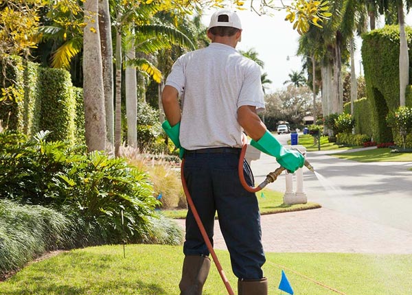 About Temple PA Pest Control Pros